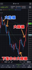 FX大陽線大陰線