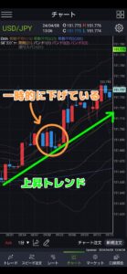 FX押し目買い